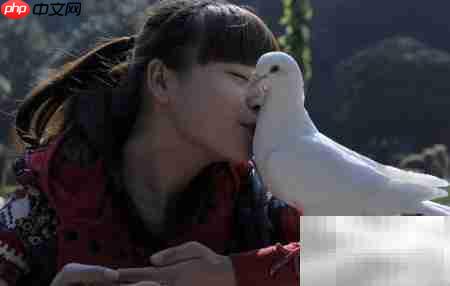 孕产妇可以吃鸽子肉吗
