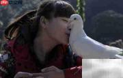 孕产妇可以吃鸽子肉吗