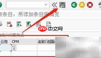 SAP FSCM自定义CPM付款