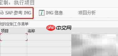 SAP FSCM自定义CPM付款