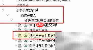 SAP FSCM自定义CPM付款