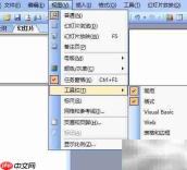 Word2003插入SWF动画方法