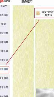 申龙7000故障码查询方法