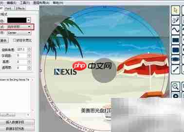 漂亮光盘设计全攻略