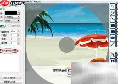 漂亮光盘设计全攻略