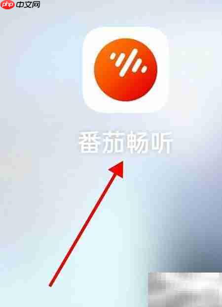 番茄畅通设置查看方法