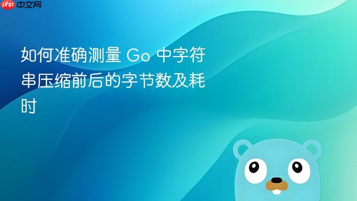 如何准确测量 Go 中字符串压缩前后的字节数及耗时