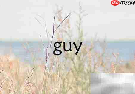 英文中guy的意思解析