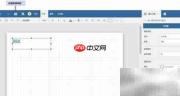 ActiveReports在线设计指南