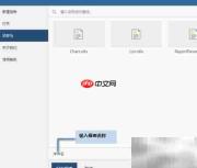 ActiveReports在线设计指南