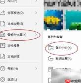 WPS自动备份文件位置指南