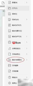 WPS自动备份文件位置指南