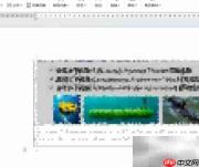 WPS自动备份文件位置指南