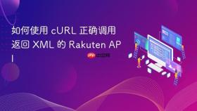 如何使用 cURL 正确调用返回 XML 的 Rakuten API