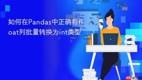 如何在Pandas中正确将float列批量转换为int类型
