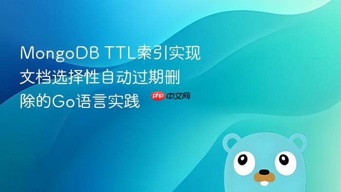 MongoDB TTL索引实现文档选择性自动过期删除的Go语言实践
