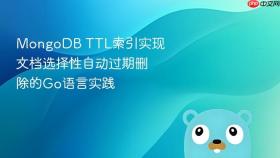MongoDB TTL索引实现文档选择性自动过期删除的Go语言实践