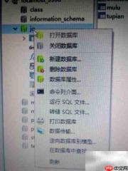 数据库导出方法指南