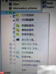 数据库导出方法指南