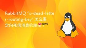 RabbitMQ “x-dead-letter-routing-key” 怎么重定向死信消息的路由？