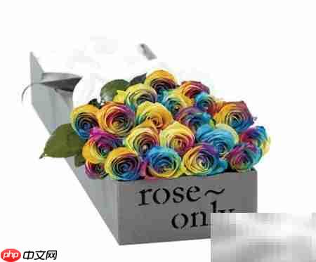 七彩玫瑰花语及寓意解析
