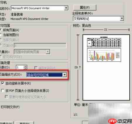 FineReport缩放打印步骤