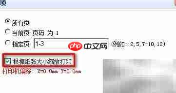 FineReport缩放打印步骤