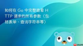 如何在 Go 中完整查看 HTTP 请求的所有参数(包括表单、查询字符串等)
