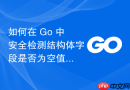 如何在 Go 中安全检测结构体字段是否为空值（nil）