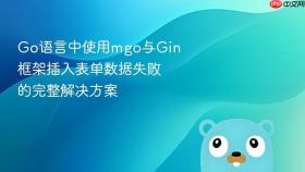 Go语言中使用mgo与Gin框架插入表单数据失败的完整解决方案