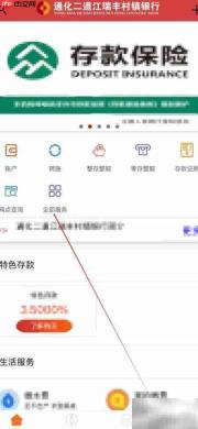 通化二道江瑞丰行内转账查询