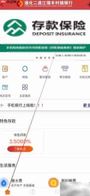 通化二道江瑞丰行内转账查询