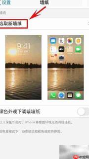 iOS13关闭Dock栏方法