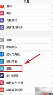 iOS13关闭Dock栏方法