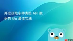 并发获取多种类型 API 数据的 Go 最佳实践