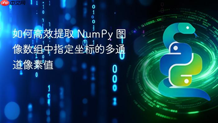 如何高效提取 NumPy 图像数组中指定坐标的多通道像素值