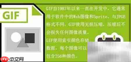 常见图像格式解析