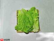 英式三明治经典做法