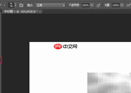 Photoshop画笔纹理设置技巧