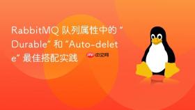 RabbitMQ 队列属性中的 “Durable” 和 “Auto-delete” 最佳搭配实践