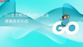Go语言精简版gRPC长连接微服务实战