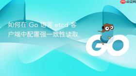 如何在 Go 语言 etcd 客户端中配置强一致性读取
