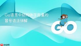 Go语言中结构体字面量的冒号语法详解
