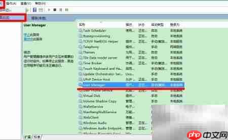 User Manager禁用修复方案