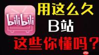 哔哩哔哩bilibili网页版入口在哪里