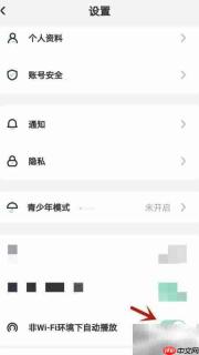 大头版非WiFi自动播放设置