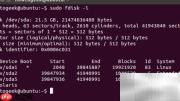 Fdisk管理Linux分区指南