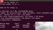Fdisk管理Linux分区指南