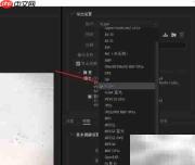 PR如何导出M4V格式视频
