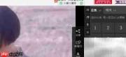 用拍大师录制网页视频教程